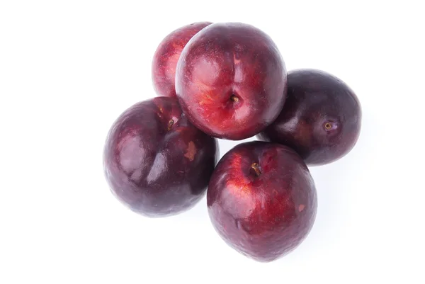 Prune ou prune mûre sucrée fruits sur un fond . — Photo