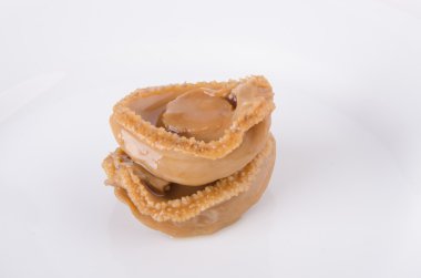 abalones. Çin Mutfağı abalone zemin üzerine.