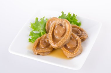 abalones. Çin Mutfağı abalone zemin üzerine.