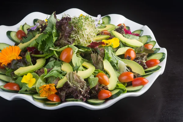 Sallad. sallad på bakgrunden — Stockfoto