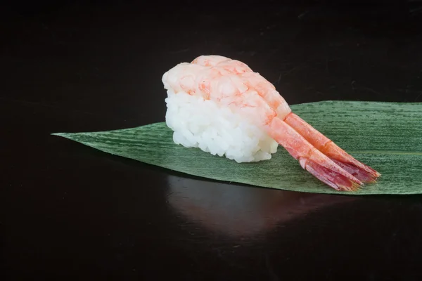 Japanese cuisine. sushi shrimp on the background — Stock Photo, Image