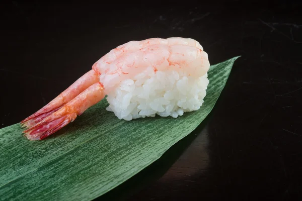 Japanese cuisine. sushi shrimp on the background — Stock Photo, Image