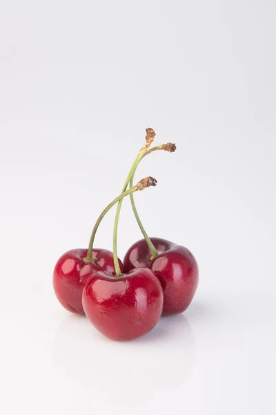 Baya de cereza fresca en el fondo — Foto de Stock