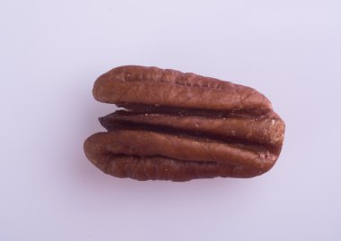 fındık. arka planda ceviz