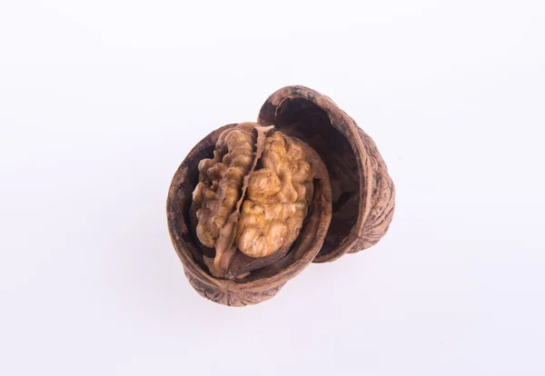 Nut. walnut on the background — Stock Photo, Image