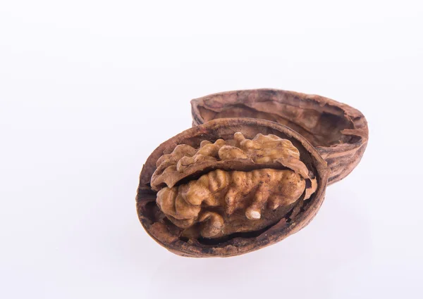 Nut. walnut on the background — Stock Photo, Image