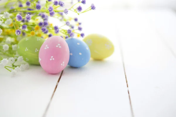 Multicolored Easter eggs in fresh  flowers daisy. — Stock Photo, Image