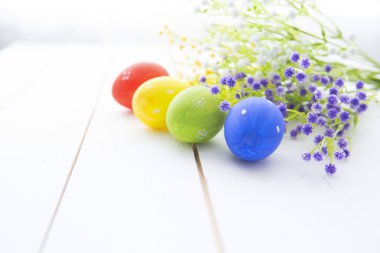Çok renkli Paskalya yumurtaları taze çiçekler papatya. 