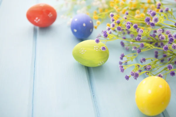 Colorful easter eggs and branch with flowers — Stock Photo, Image