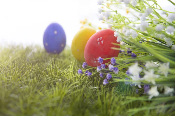 Пасхальные яйца прячутся в траве — стоковое фото