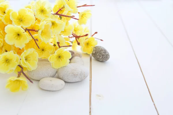 Pierres de spa avec fleurs sakura jaunes — Photo