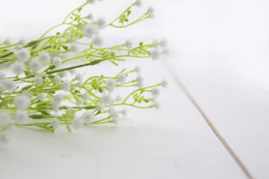  Çiçekler beyaz ahşap tablo