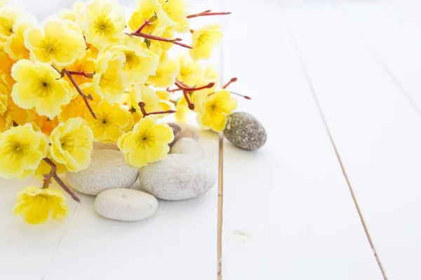 Курортные камни с желтыми цветами сакуры — стоковое фото