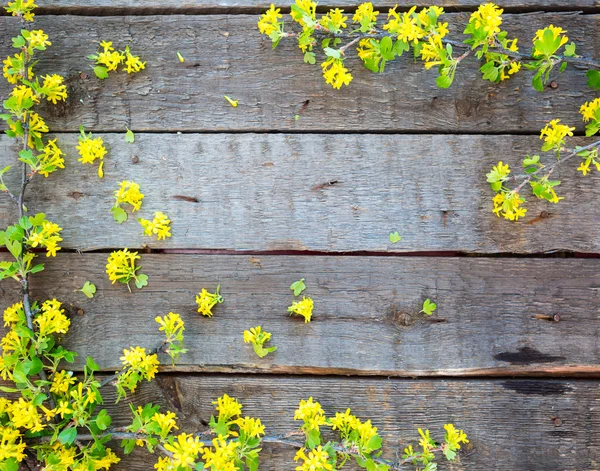 Wood Sign With Yellow Flowers Background — Stock Photo, Image