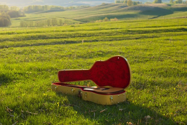 Gitarre im Koffer auf Gras — Stockfoto
