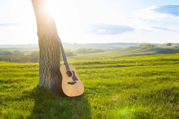 Klasik Gitar bir ağaç gövdesi karşı propped