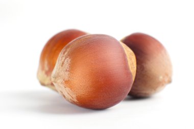 Üç fındık kajuya beyaz izole.