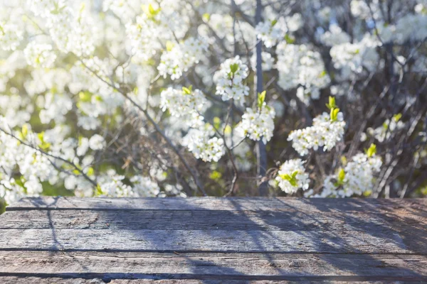 Mesa de madera vacía con flores de cerezo — Foto de Stock