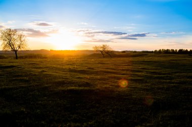 Saha, Ağaç ve Mavi Gökyüzü