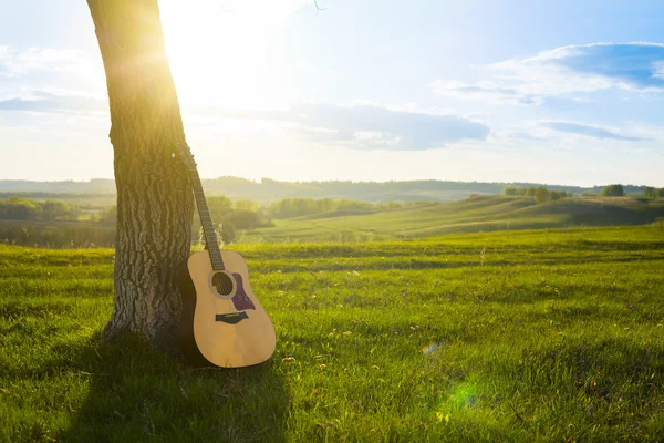 Klasik Gitar bir ağaç gövdesi karşı propped