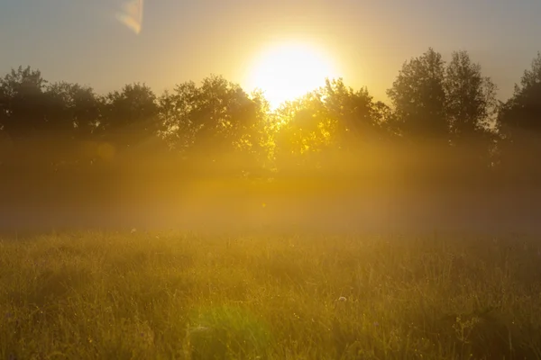 Niebla inusual del río en temporada de verano — Foto de Stock