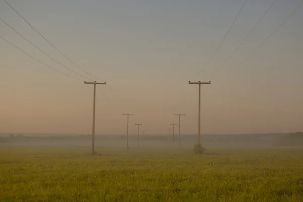 Voltage pole with light morning fog — Stock Photo, Image