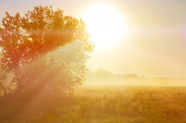 Olağandışı nehir sis yaz sezonu