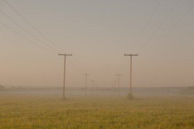 Işık sabah sis ile gerilim Kutbu