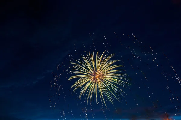 Beautiful colorful fireworks on sky. — Stock Photo, Image