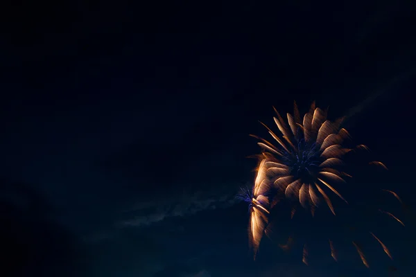 Beautiful colorful fireworks on sky. — Stock Photo, Image