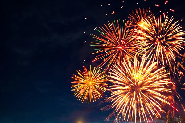 Ragyogóan színes tűzijáték — Stock Fotó