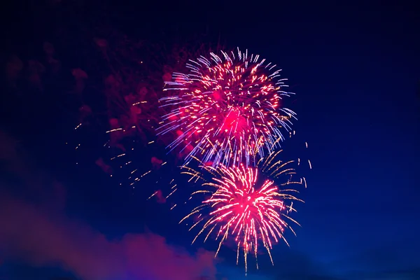 Beautiful colorful fireworks on sky. — Stock Photo, Image