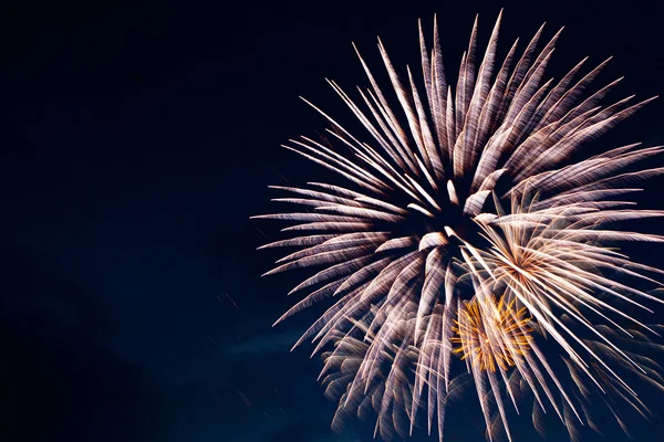 Feux d'artifice colorés sur le fond du ciel noir — Photo