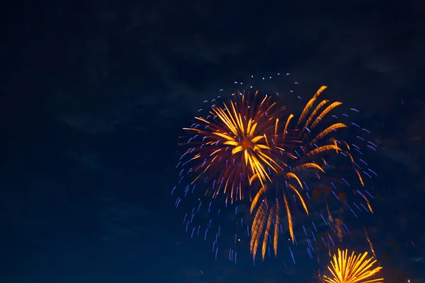 Feuerwerk am Nachthimmel — Stockfoto