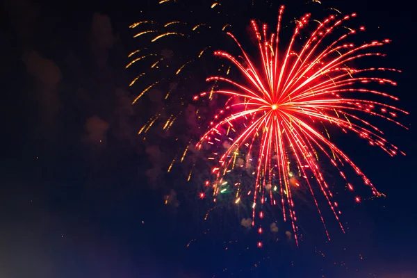 Fuegos artificiales de colores brillantes de varios colores en la noche —  Fotos de Stock