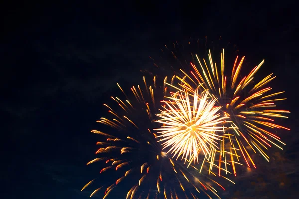 Brightly colorful fireworks in the night — Stock Photo, Image