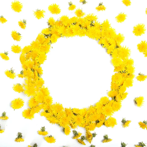 白に黄色のタンポポの製フレーム — ストック写真