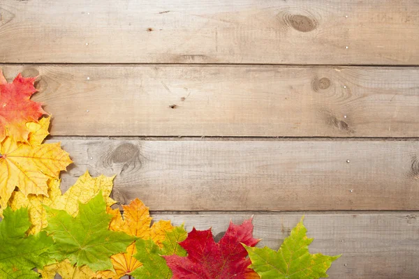 Hösten lönn löv på trä bakgrund — Stockfoto