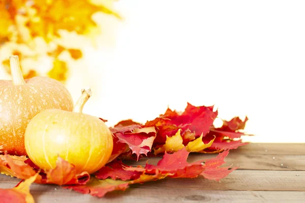 Rustik höst stilleben med pumpor och gyllene blad på en träyta. — Stockfoto