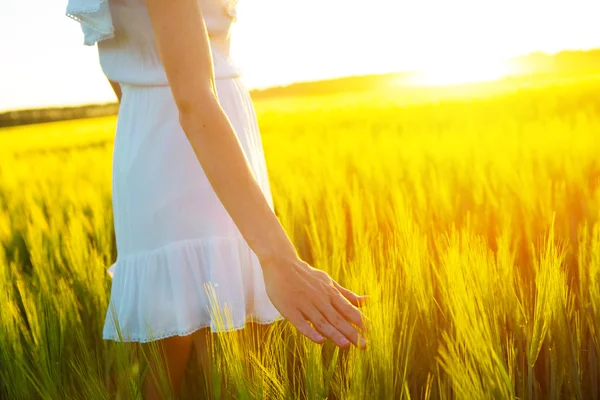 Woman's hand touching new born wheat ears — Stock Photo, Image