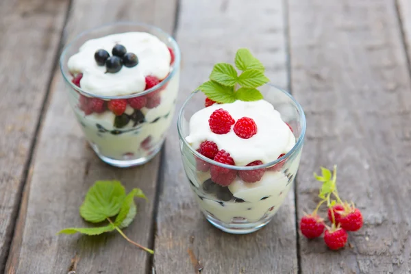 Kavanoz doğal yoğurt ve taze farklı meyveler ile resmi — Stok fotoğraf