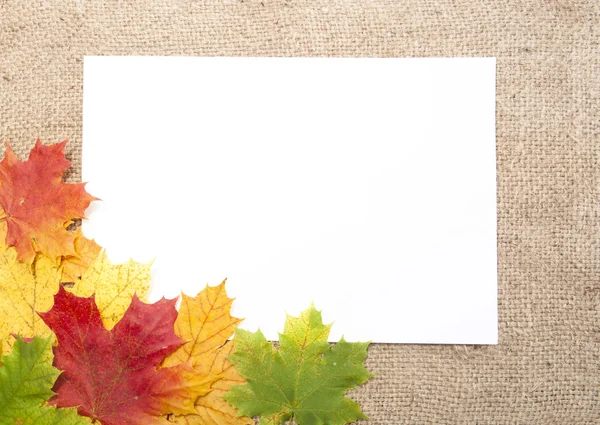 Autumn leaves on a textile. Stock Picture