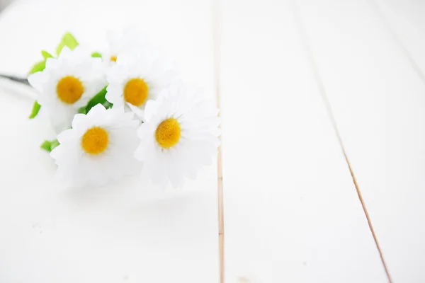 Весняні ромашки або ромашки на білому столі — стокове фото