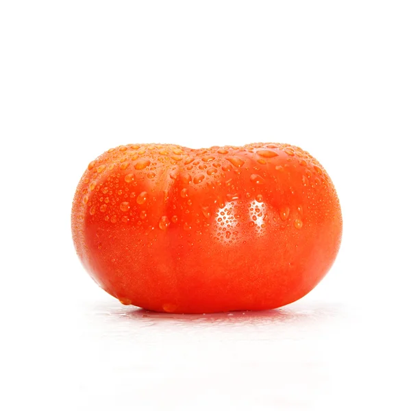 One tomato with drops on white — Stock Photo, Image