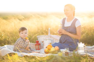 Küçük tatlı oğlan ve güzel hamile annesi piknikte.