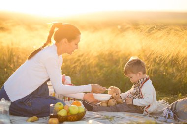 Küçük tatlı oğlan ve güzel hamile annesi piknikte.