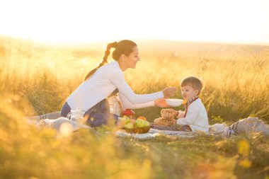 Küçük tatlı oğlan ve güzel hamile annesi piknikte.