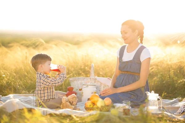 Piccolo ragazzo carino figlio e la sua bella mamma incinta al picnic — Foto Stock