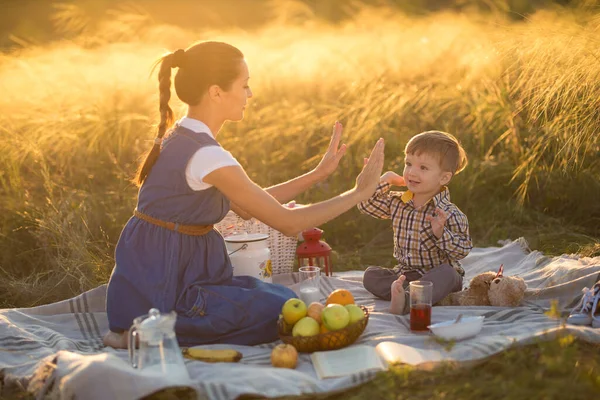 Kleine süße Junge Sohn und seine schöne schwangere Mutter bei Picknick — Stockfoto