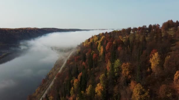 Vídeo aéreo da floresta no outono ao pôr-do-sol. Campo de aplicação — Vídeo de Stock